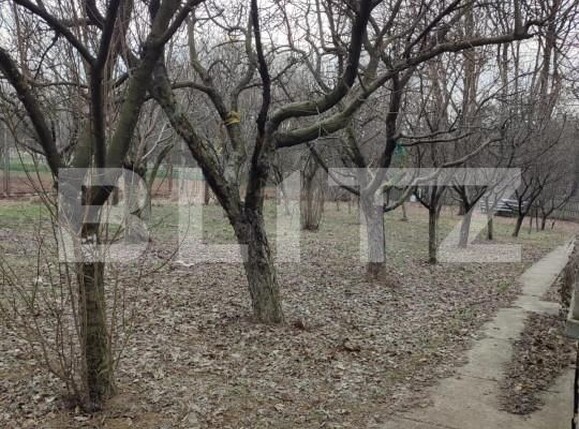 Casa de vânzare 4 camere Exterior Est - 159781CV | BLITZ Pitești | Poza14