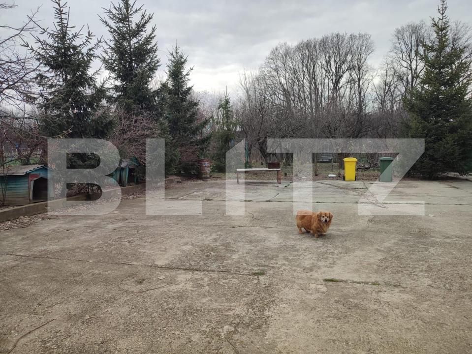 Casa de vânzare 4 camere Exterior Est - 159781CV | BLITZ Pitești | Poza3