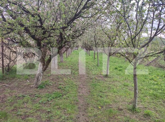 Casa de vânzare 6 camere Exterior Sud - 159783CV | BLITZ Pitești | Poza3