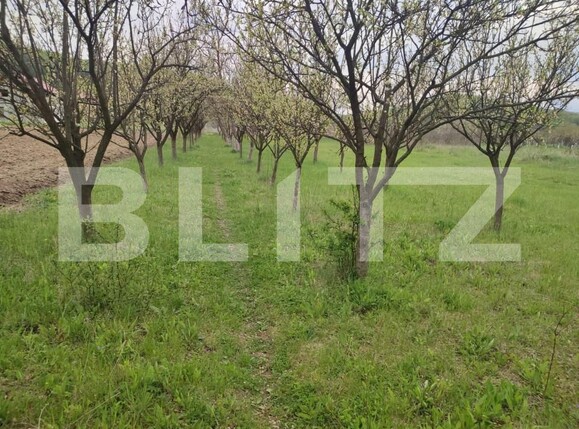 Casa de vânzare 6 camere Exterior Sud - 159783CV | BLITZ Pitești | Poza18