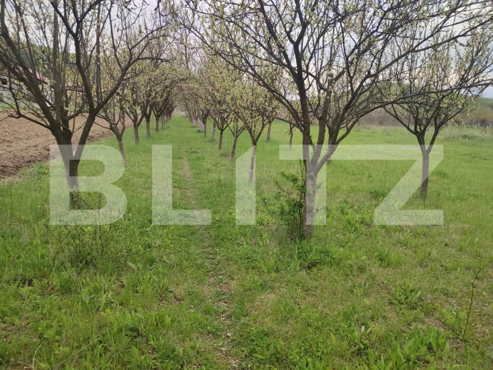 Casa de vânzare 6 camere Exterior Sud - 159783CV | BLITZ Pitești | Poza18