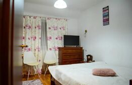 Apartament 3 camere în Vilă - zona Câmpului, Trivale
