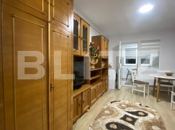 Garsonieră de vânzare Rolast - 160092AV | BLITZ Pitești | Poza2