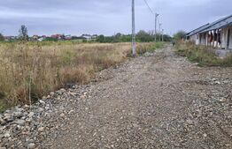 Parcele de 400 mp teren - comuna Bradu