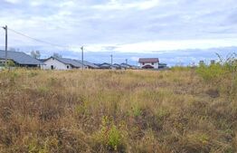 Parcele de 400 mp teren - comuna Bradu