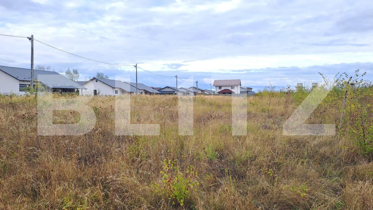 Teren de vânzare Exterior Sud - 160443TV | BLITZ Pitești | Poza3