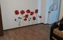 Apartament 2 camere, Trivale