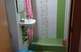 Apartament 2 camere, Trivale