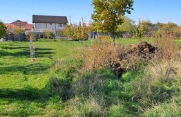 Teren 4000 mp Bradu, zona Primărie