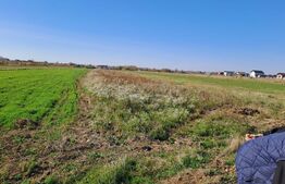 Teren 4000 mp Bradu, zona Primărie