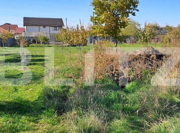 Teren de vânzare Bradu - 161379TV | BLITZ Pitești | Poza2