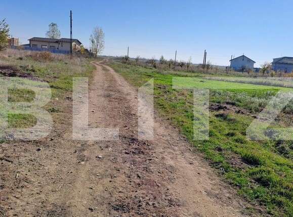 Teren de vânzare Bradu - 161379TV | BLITZ Pitești | Poza3