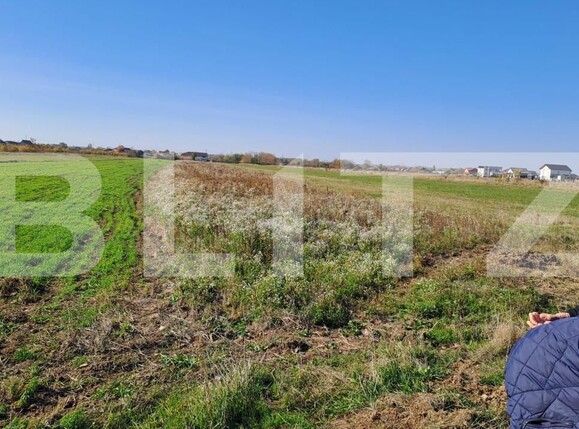 Teren de vânzare Bradu - 161379TV | BLITZ Pitești | Poza1