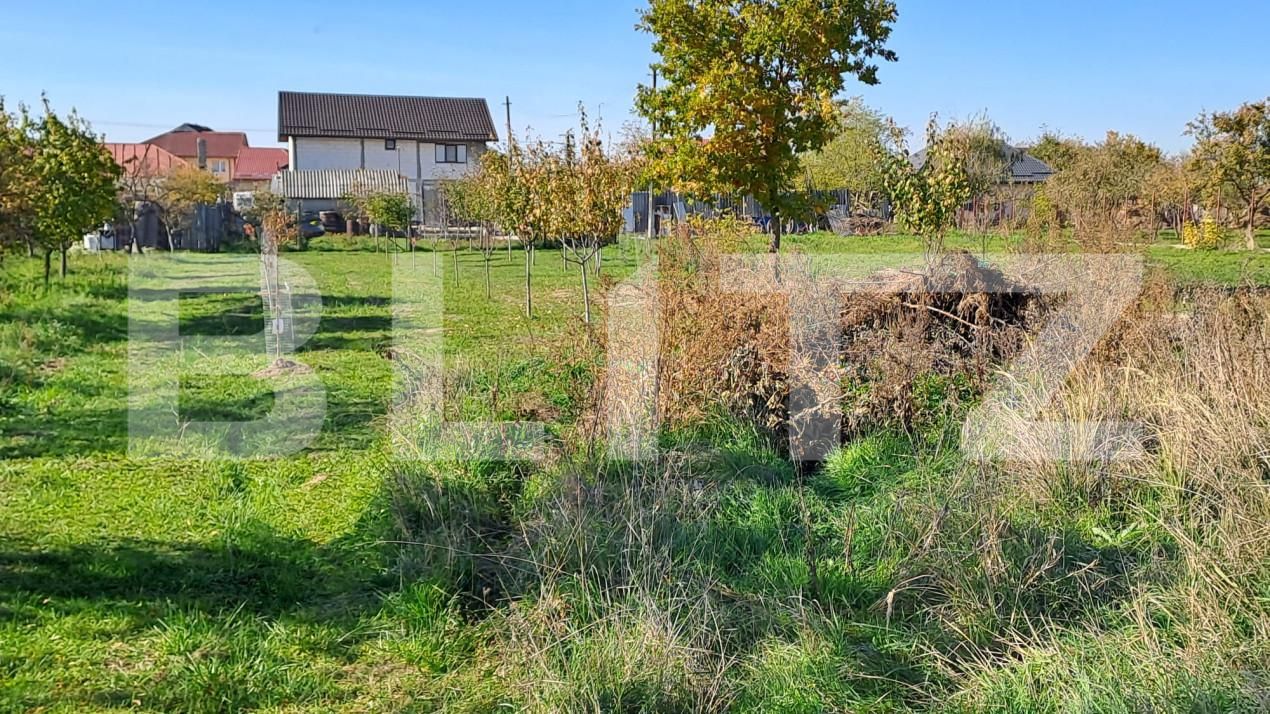 Teren de vânzare Bradu - 161379TV | BLITZ Pitești | Poza2