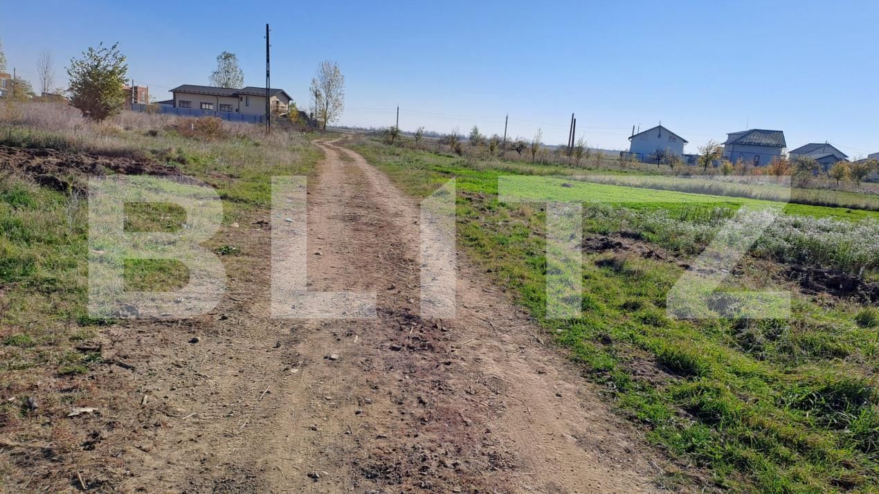 Teren de vânzare Bradu - 161379TV | BLITZ Pitești | Poza3