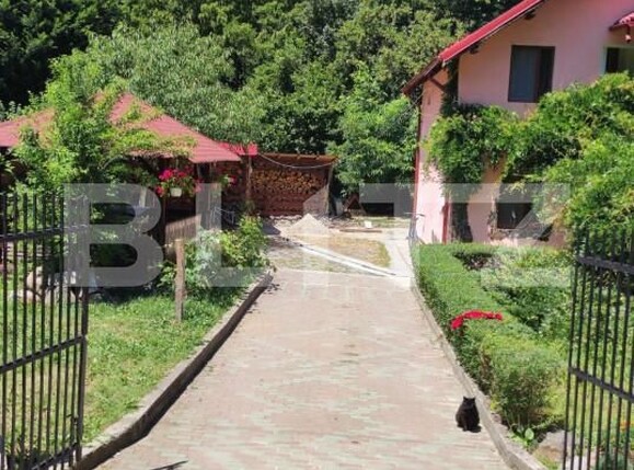 Casa de vânzare 4 camere Bascov - 161684CV | BLITZ Pitești | Poza4