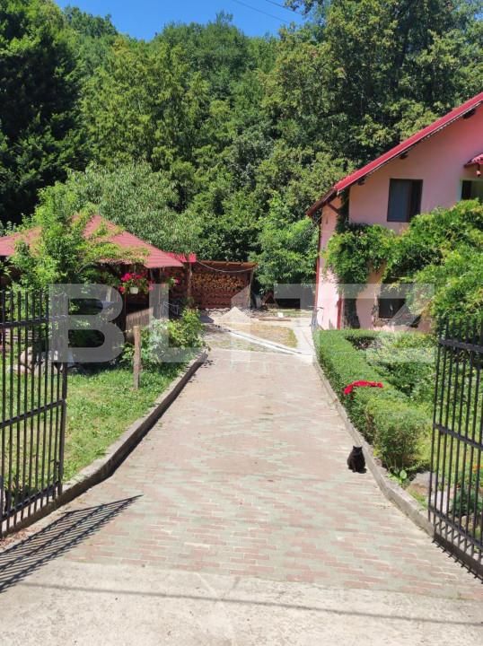 Casa de vânzare 4 camere Bascov - 161684CV | BLITZ Pitești | Poza4