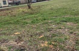 Teren intravilan de vanzare, 1160 mp, Bascov