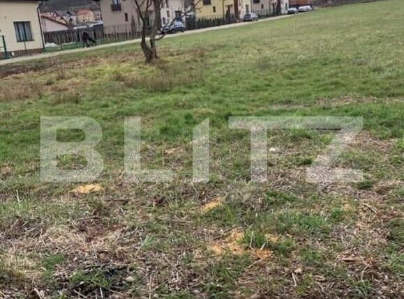 Teren de vânzare Braileni - 162516TV | BLITZ Pitești | Poza1