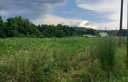 Teren intravilan, 2600 mp, zona Zigoneni