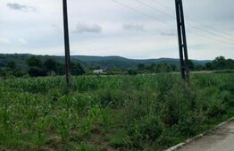 Teren intravilan, 2600 mp, zona Zigoneni