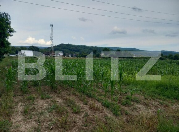 Teren de vânzare Zigoneni - 162648TV | BLITZ Pitești | Poza1