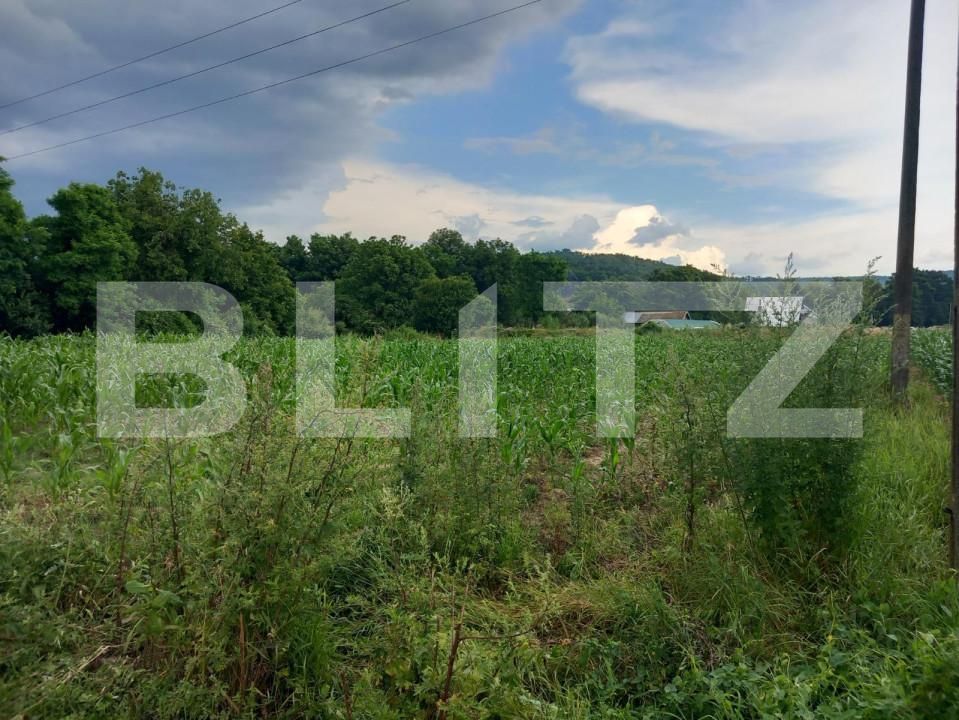 Teren de vânzare Zigoneni - 162648TV | BLITZ Pitești | Poza3