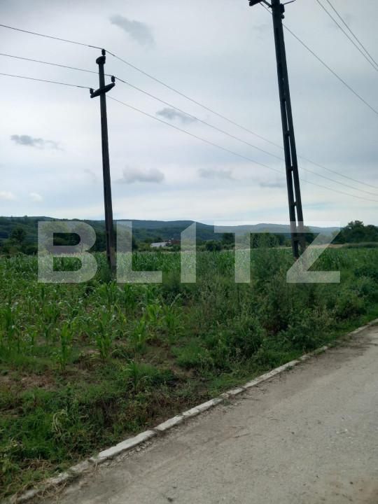 Teren de vânzare Zigoneni - 162648TV | BLITZ Pitești | Poza2