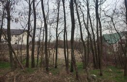 Teren de vanzare, 2087 mp, Mosoaia