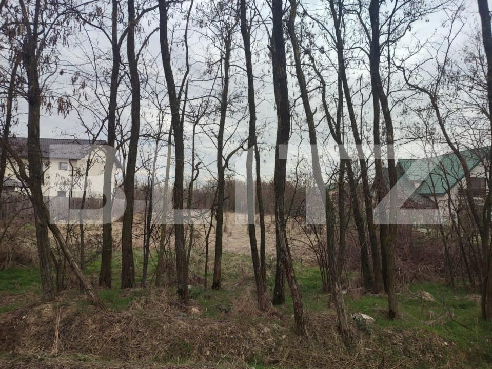 Teren de vânzare Mosoaia - 162661TV | BLITZ Pitești | Poza3