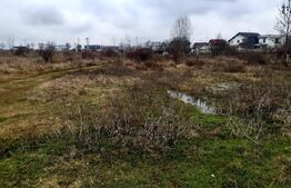 Teren, 2000 mp, Geamana