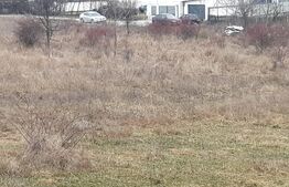 Teren, 2000 mp, Geamana