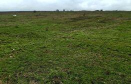 Teren, 2000 mp, Geamana