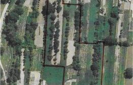 Oportunitate! Teren de 9464mp, Bajesti