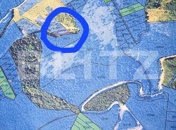 Teren de vânzare Arefu - 162666TV | BLITZ Pitești | Poza2