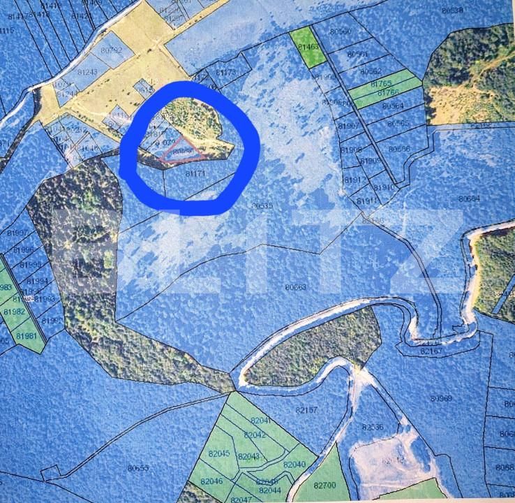 Teren de vânzare Arefu - 162666TV | BLITZ Pitești | Poza2