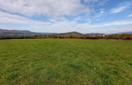 Teren de 5002 mp, Tigveni Barsesti