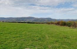 Teren de 5002 mp, Tigveni Barsesti