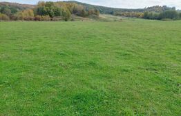 Teren de 5002 mp, Tigveni Barsesti