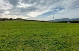 Teren de 5002 mp, Tigveni Barsesti