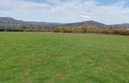 Teren de 5002 mp, Tigveni Barsesti