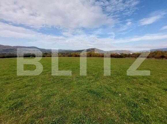 Teren de vânzare Tigveni - 162667TV | BLITZ Pitești | Poza4