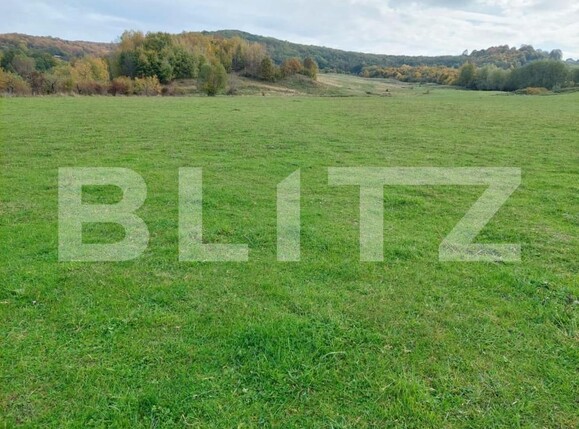 Teren de vânzare Tigveni - 162667TV | BLITZ Pitești | Poza2