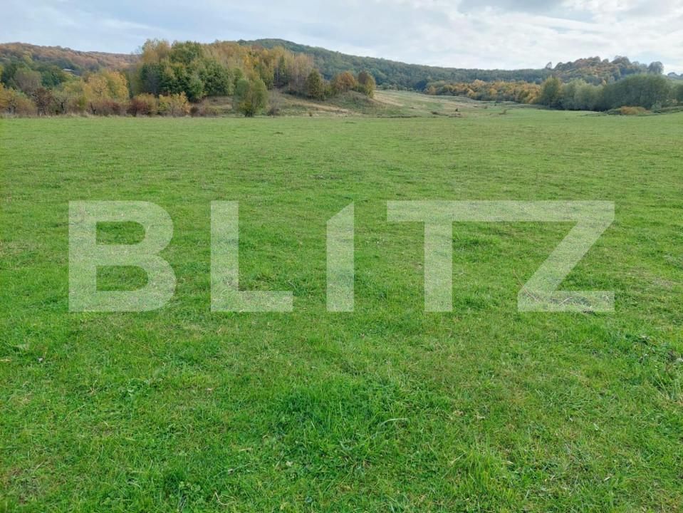 Teren de vânzare Tigveni - 162667TV | BLITZ Pitești | Poza2