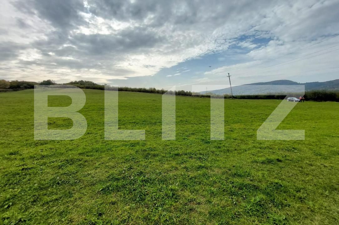 Teren de vânzare Tigveni - 162667TV | BLITZ Pitești | Poza3