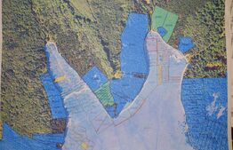 Teren Molivis- Arges 5000 mp, langa viitoarea partie de schi