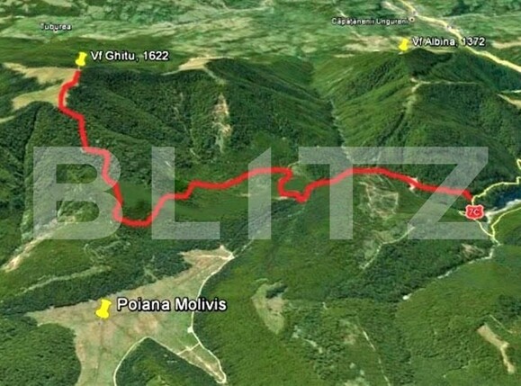 Teren de vânzare Arefu - 162669TV | BLITZ Pitești | Poza3