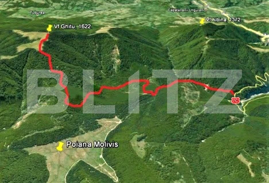 Teren de vânzare Arefu - 162669TV | BLITZ Pitești | Poza3