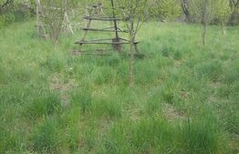 Teren intravilan, suprafata de 1250 mp, Capataneni Ungureni