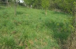 Teren intravilan, suprafata de 1250 mp, Capataneni Ungureni